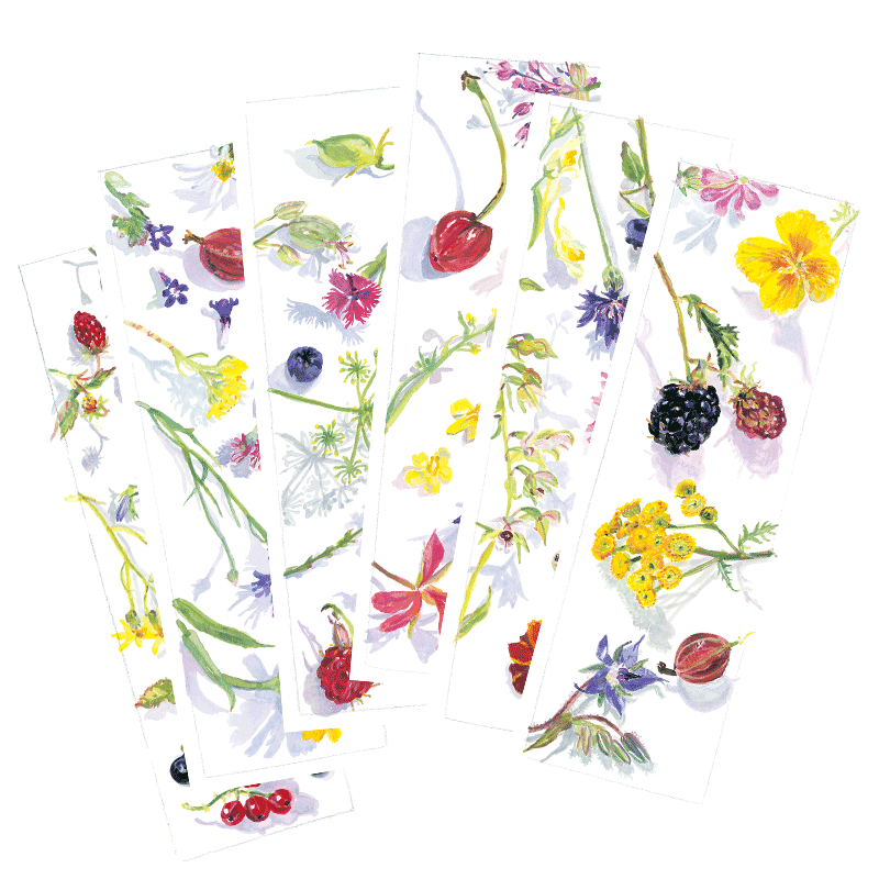 Lesezeichen Set, Buchzeichen, Kunstkarte mit floralem Motiv als 6er-Set von Regula Schenk