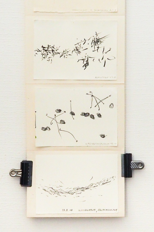 Skizzen in schwarz-weiss, Malerei der Künstlerin Regula Schenk, Rüti Zürich